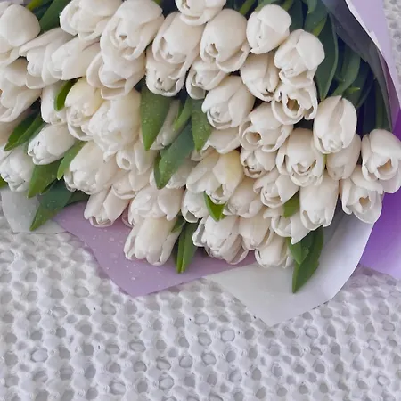 нежность у моря * Oděsa