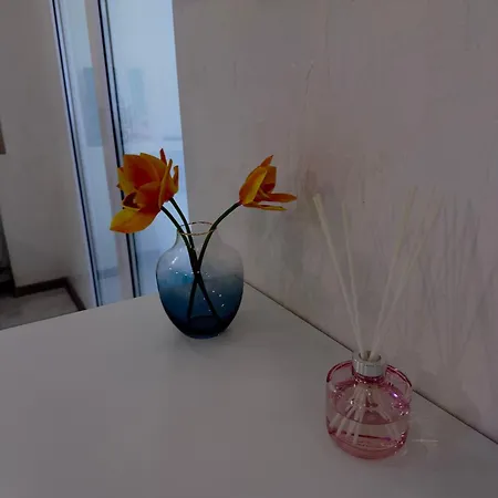 Lejlighed нежность у моря Odessa