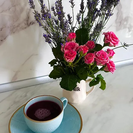 Apartamento нежность у моря Odesa