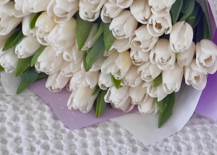 нежность у моря * Odessa